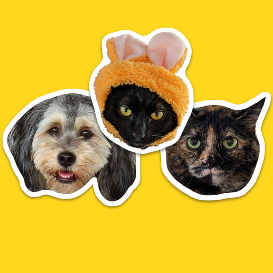 Your Dog or Cat Pet as a Vinyl Sticker